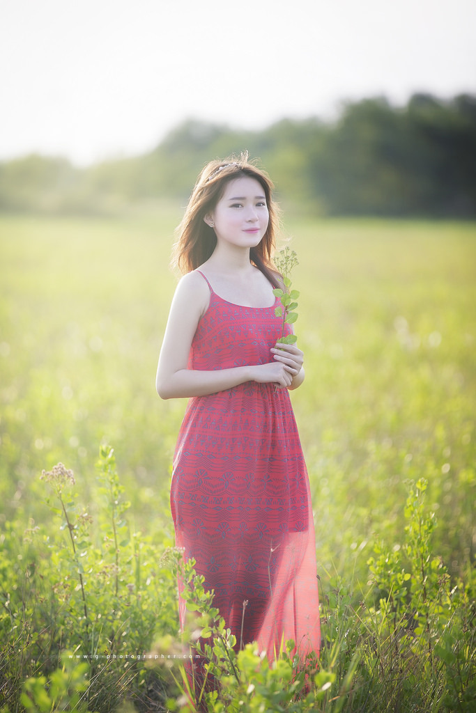悄悄藏不住电视剧免费观看全集