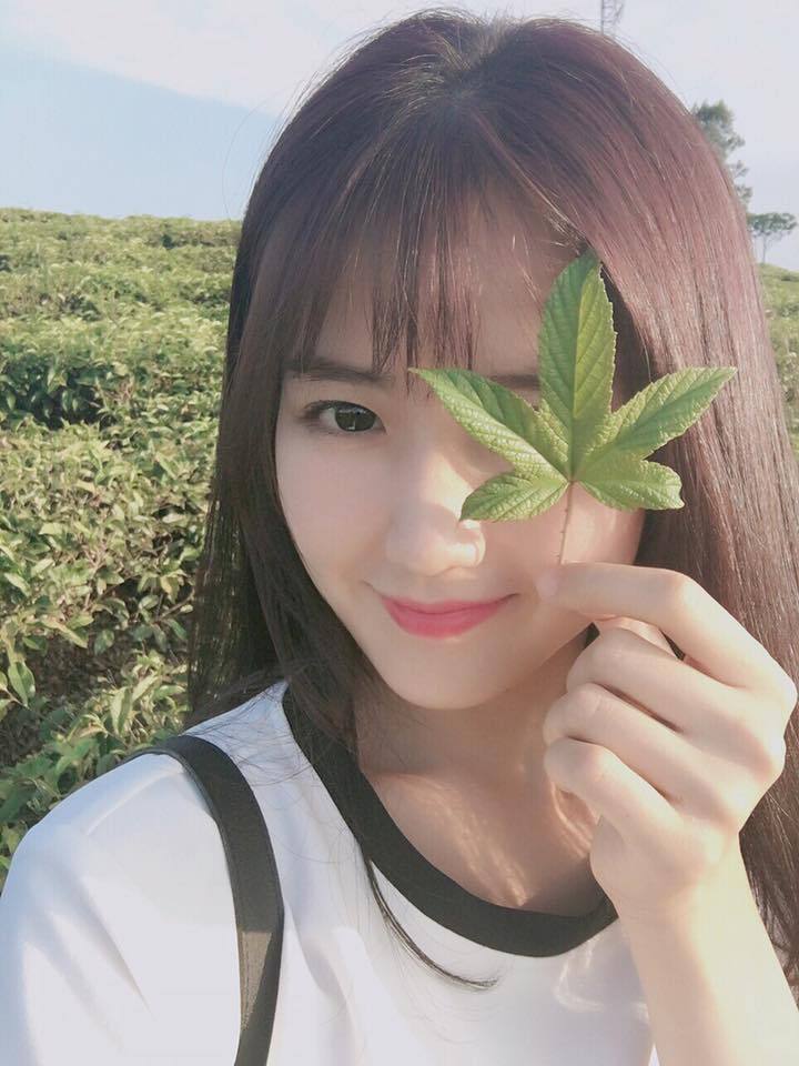小树林里的秘密